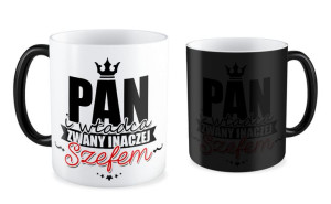 Kubek dla szefa Pan i władca