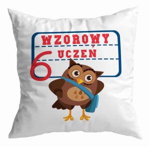 Poduszka  Wzorowy uczeń