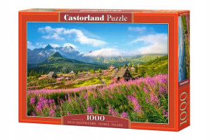 PUZZLE 1000el. Hala Gąsienicowa CASTOR C-104512-2