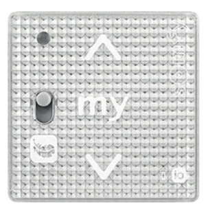 Pilot Somfy Smoove RS100 io Silver Shine bez ramki