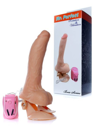 wibrator-mr. perfect rotation & vibration