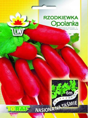 Nasiona na taśmie Rzodkiewka czerwona podłużna