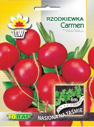 Nasiona na taśmie Rzodkiewka czerwona