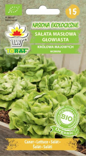 Nasiona ekologiczne SAŁATA nasiona BIO