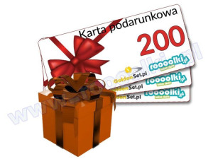 Karta Podarunkowa Bon Voucher 200