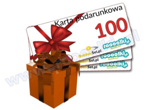 Karta Podarunkowa Bon Voucher 100