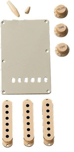 Fender 0991368000 Aged White Accesory Kit Strat