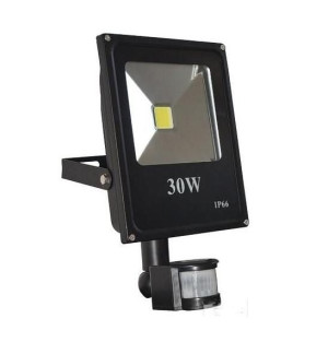 Naświetlacz Led 30W Z Czujnikiem ZilnerZL-998