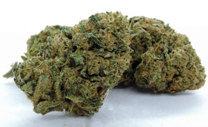 Amnesia Haze 2g / 6,3% CBD