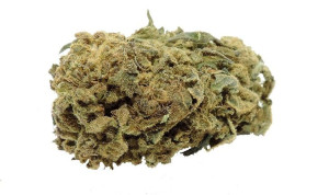 Ak-47 10g / 5,32% Cbd