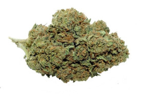 Banana OG 2g / 3,4% CBD