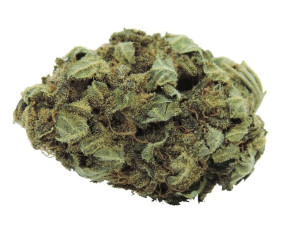 Caramello 1g / 7,21% CBD