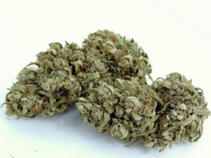 Cbg Haze 2g / 10,6% Cbg