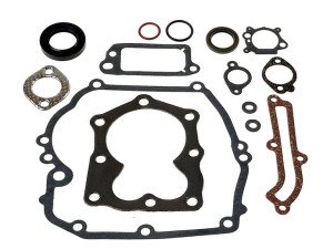 Zestaw Uszczelek Briggs Stratton Quantum 493263