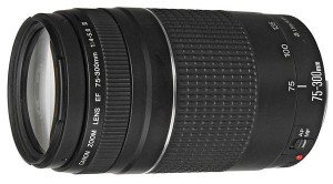 Canon Ef 75-300 Mm F/4-5.6 Iii