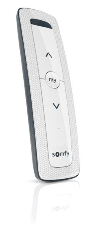 Pilot Somfy Situo 1 io Arctic II