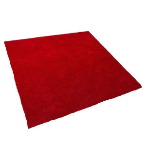 Dywan 200 x 200 cm czerwony DEMRE
