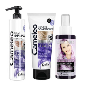 DELIA CAMELEO Zestaw Silver chłodny blond 3w1 płukanka fiolet Nowy Delia Co