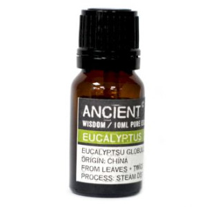 ANCIENT Olejek Eteryczny 10ml - Eukaliptus