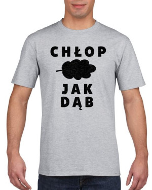 Koszulka męska Chłop jak dąb S Szary