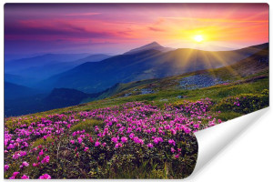 Fototapeta FLIZELINOWA Górski Krajobraz i Kwiaty 3D 405cm x 270cm