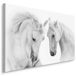 Obraz Ścienny Białe KONIE Zwierzęta Natura 3D 90cm x 60cm