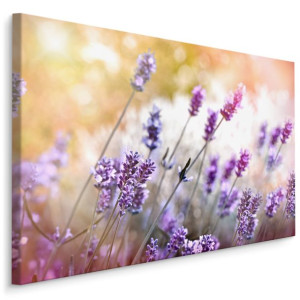 Obraz DEKORACYJNY Kwitnące KWIATY Lawendy 3D 120cm x 80cm