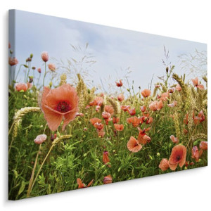 Obraz do Salonu CZERWONE Maki na Łące 3D 90cm x 60cm