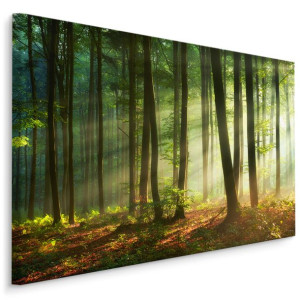 Obraz DEKORACYJNY Piękny Leśny Krajobraz 3D Natura 120cm x 80cm