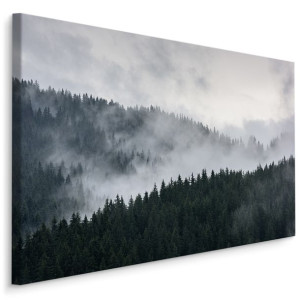 Obraz DEKOR 3D Mglisty Las Sosnowy 40cm x 30cm