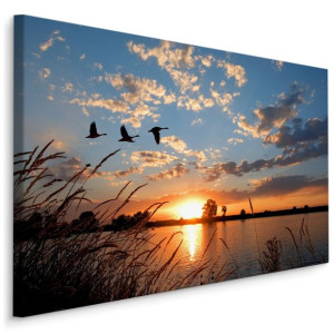 Obraz CANVAS Ptaki KRAJOBRAZ Zachód Słońca 3D 70cm x 50cm