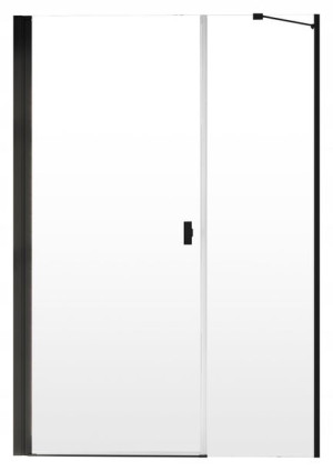 Drzwi prysznicowe Nes Black DWS 120x200 RADAWAY