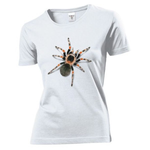 Koszulka damska Tarantula pająk XL Biały