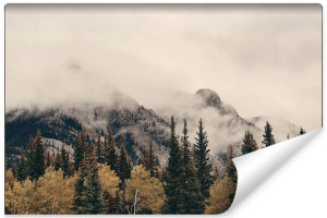 Fototapeta DEKORACYJNA do Salonu Las we Mgle Efekt 3D 90cm x 60cm