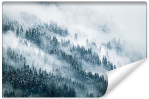Fototapeta FLIZELINOWA Las we Mgle Efekt 3D 360cm x 240cm