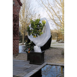 Rękaw ochronny na rośliny, 30 g/m², biały, 2x5 m