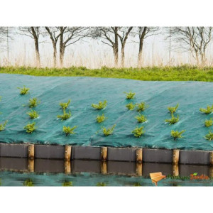 Agrotkanina przeciw chwastom, 2,1 x 25 m, zielona