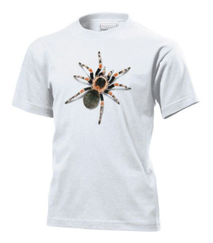Koszulka dziecięca Tarantula pająk XL Biały