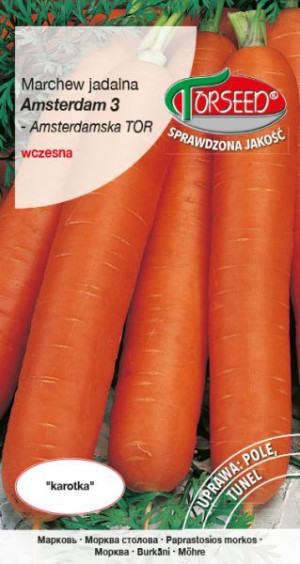 Nasiona Marchew Amsterdam 3 Torseed 5g