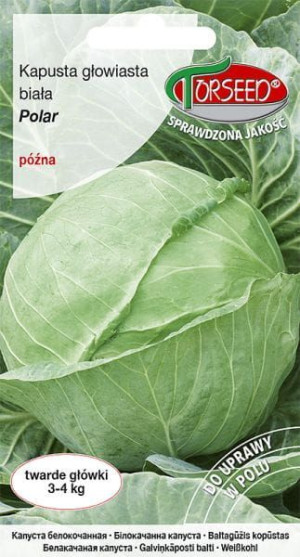 Nasiona Kapusta głowiasta biała Polar Torseed 2g
