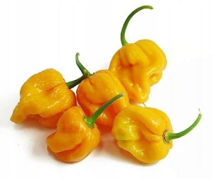 Papryka Habanero Lemon- ostra nasiona