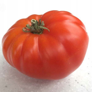 Pomidor Brutus - gigant, nawet do 2 kg nasiona