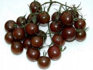 Pomidor Black cherry - wysoki nasiona