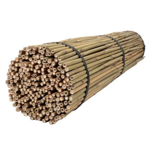Tyczki bambusowe 120 cm 12/14 mm - 100 szt. BAMBUS