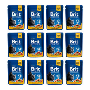 Pakiet Brit Premium Salmon & Trout Łosoś Pstrąg 12 x 100 g