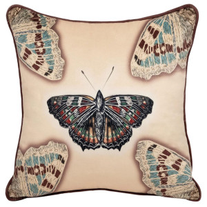 Darymex Poszewka dekoracyjna BD-06/43x43