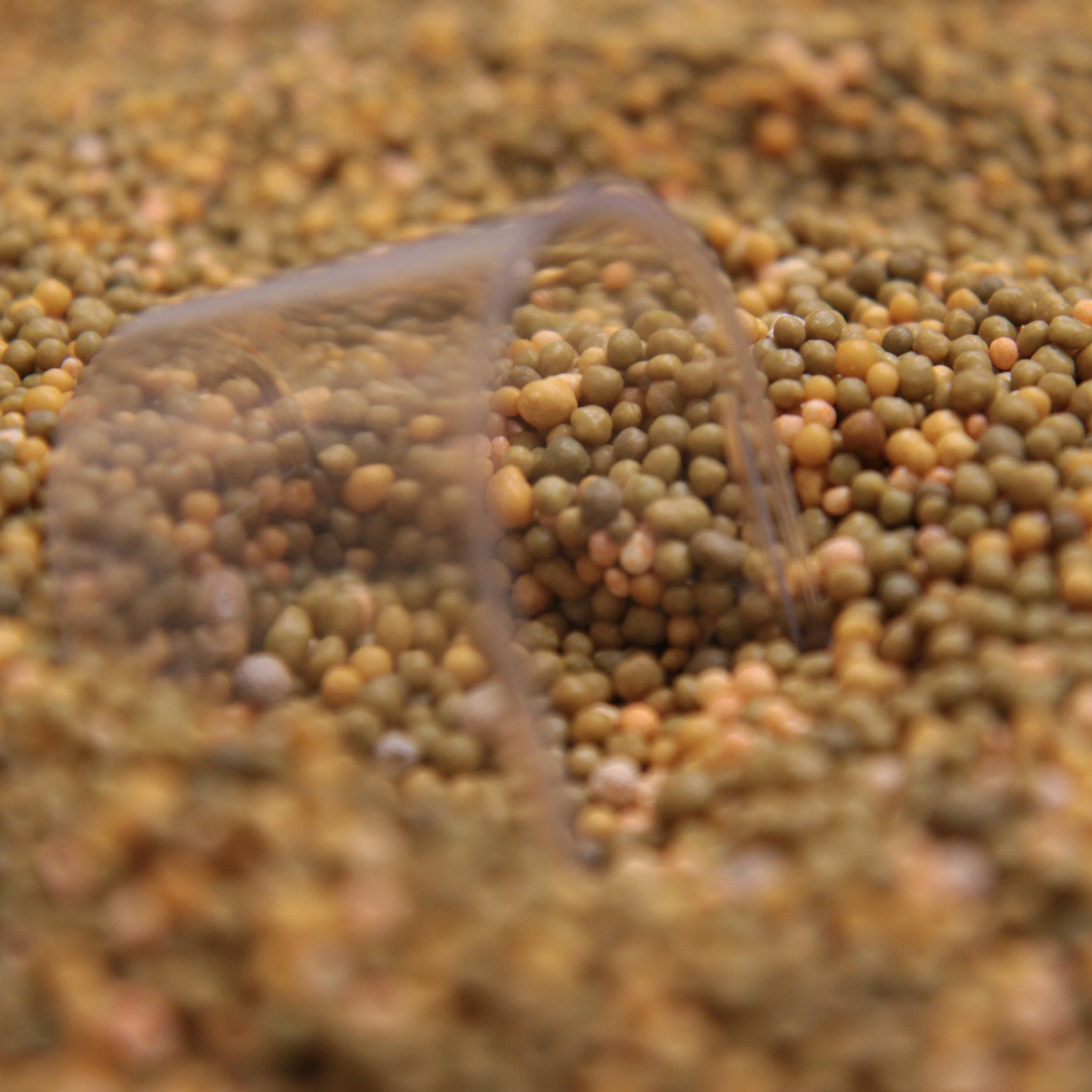 Nawóz Osmocote IGLAK 5-6msc. 4.5KG.