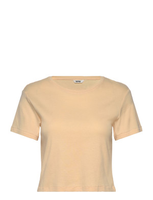 Monki Cropped Fitted Cotton T-Shirt - Orange - XXS