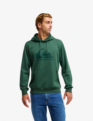 Quiksilver Comp Logo Hoodie - Green - S Green S