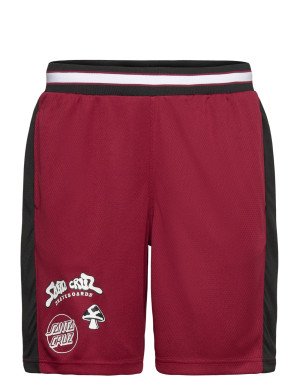 Santa Cruz Winkowski Ocho Mesh Shorts   S Red S